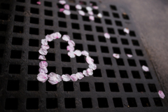 To dear you