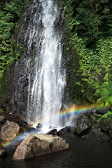 Waterfall's spectrum