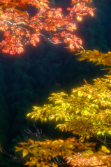 ダム湖の紅葉*3