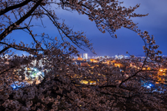 SAKURA 城跡*4