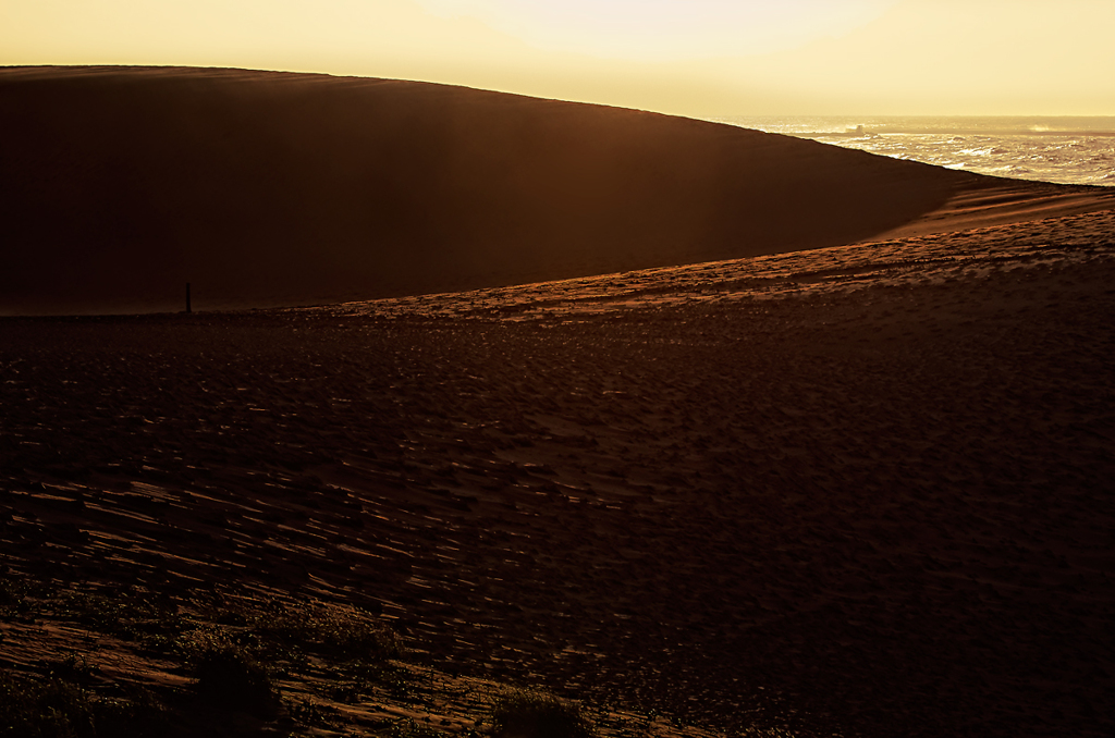 Dune of dusk SNAP*2