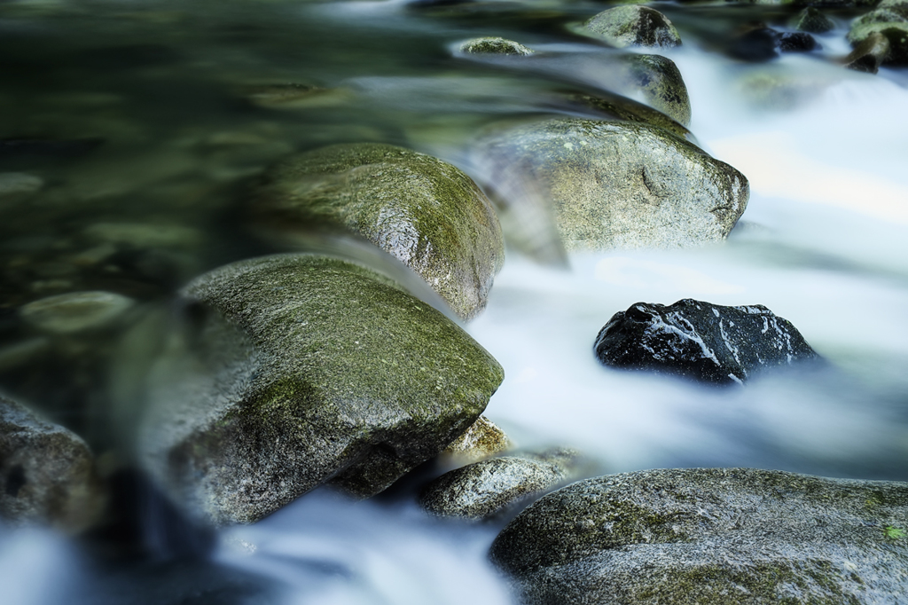 Expression of water