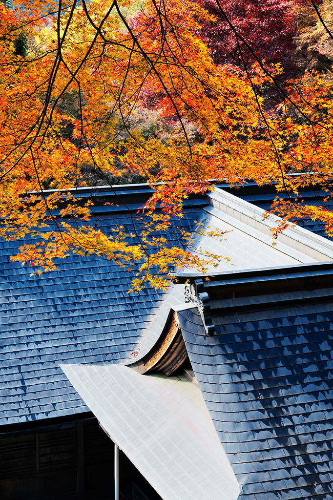 Colorful communication *1