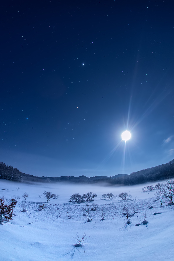 雪原月夜