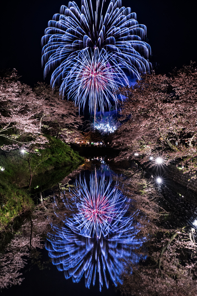 SAKURA & HANABI *1