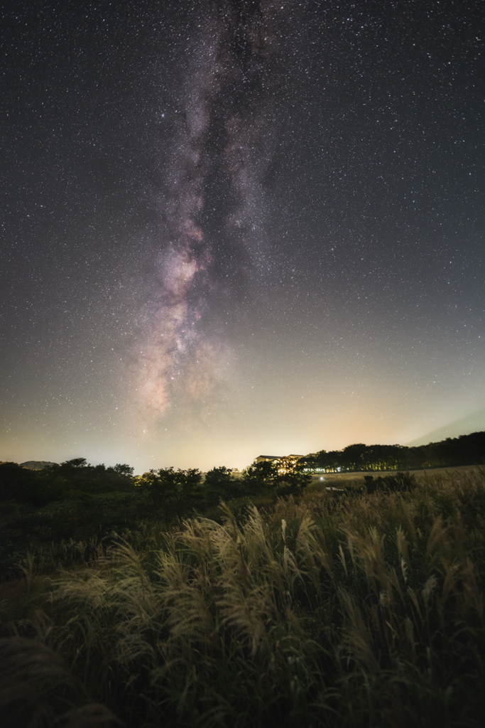 秋湿りの夜