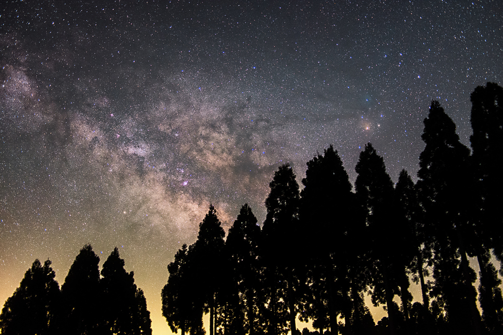 樹上の星影*2