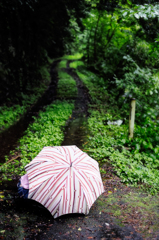 雨の小道*3