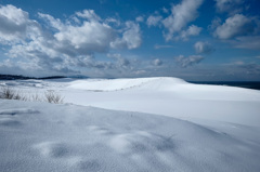 雪の鳥取砂丘*1