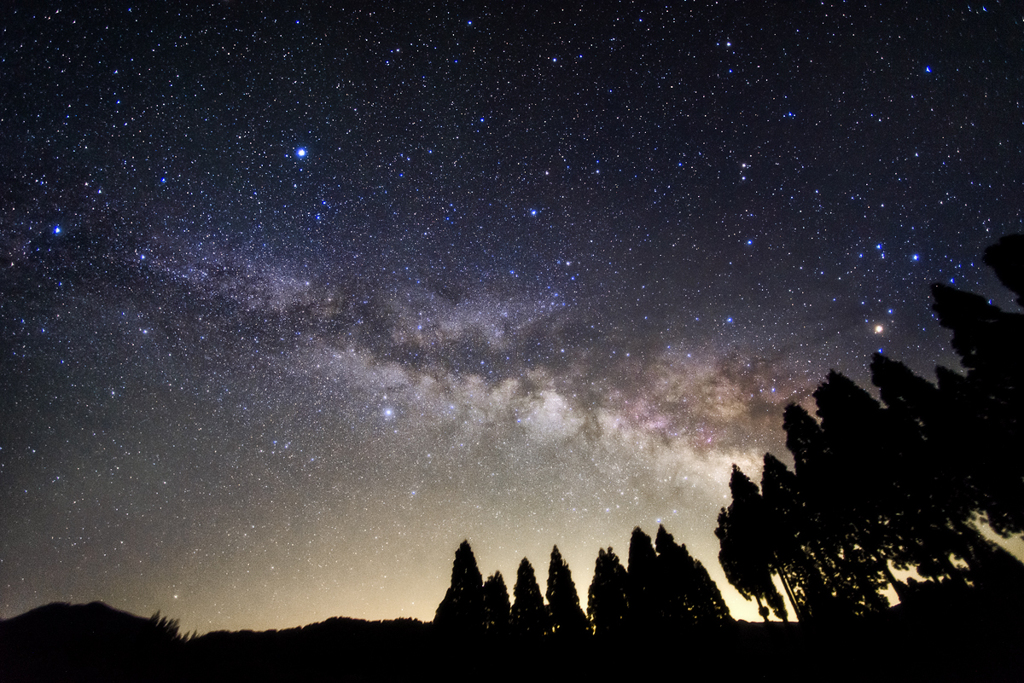 樹上の星影