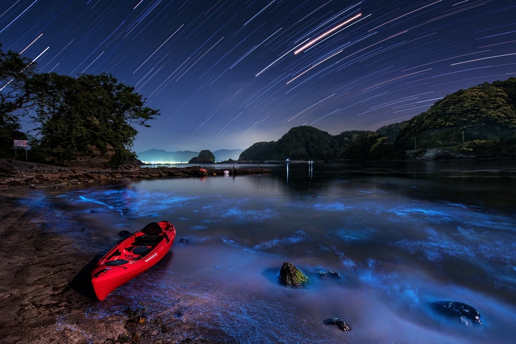 Beach at fantastic night