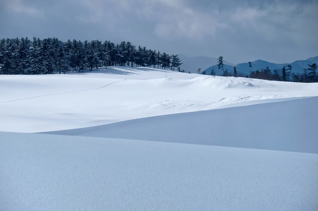 雪の鳥取砂丘*3