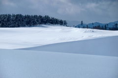 雪の鳥取砂丘*3