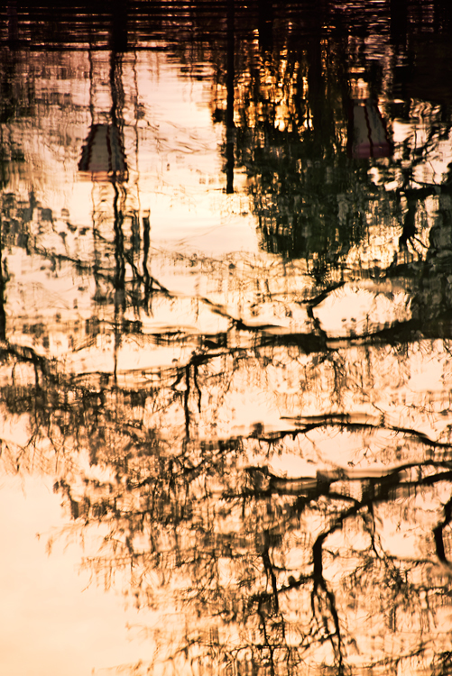 夕暮水鏡*3