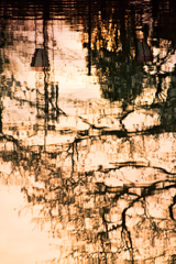 夕暮水鏡*3