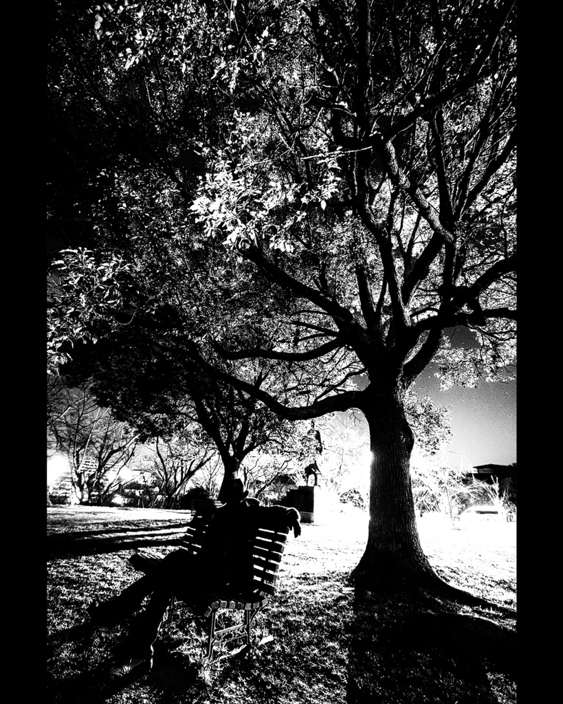  At night in the park