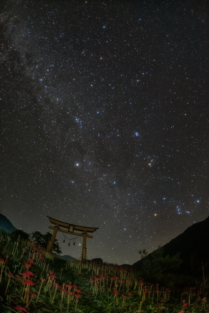 彼岸の星空*2