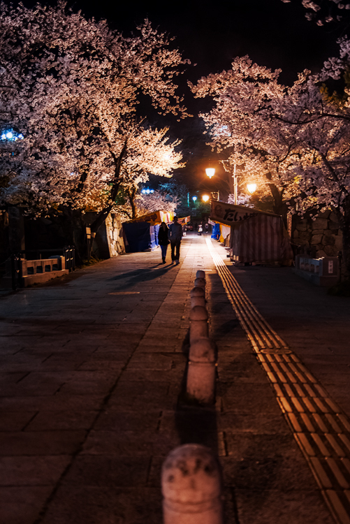 SAKURA 城跡*2