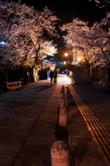 SAKURA 城跡*2