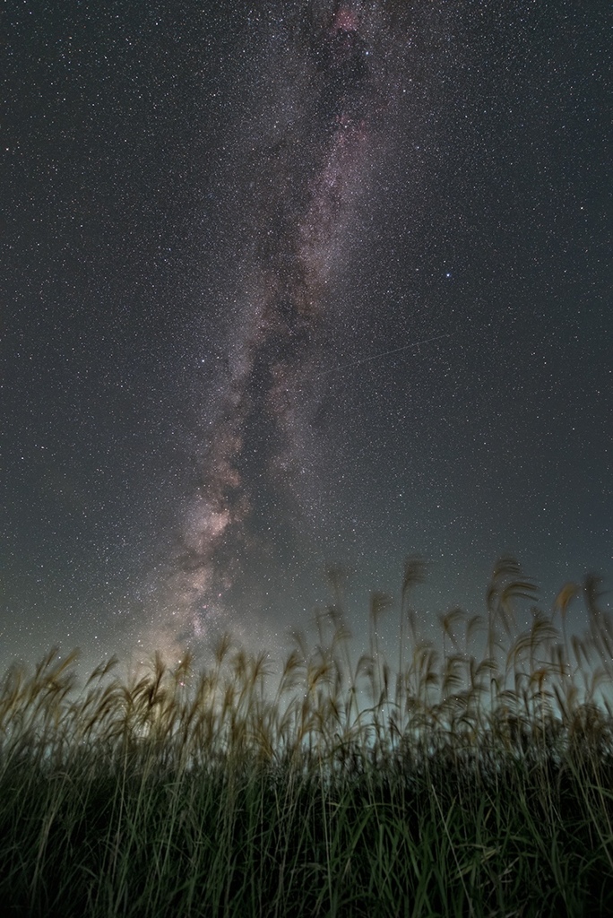 秋の夜風を感じながら･･･