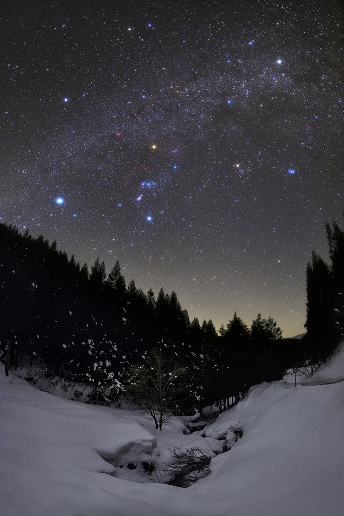 Winter starry sky of February
