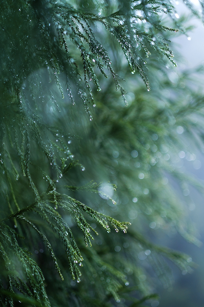 霧中にて*3