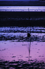 Twilight estuary*1