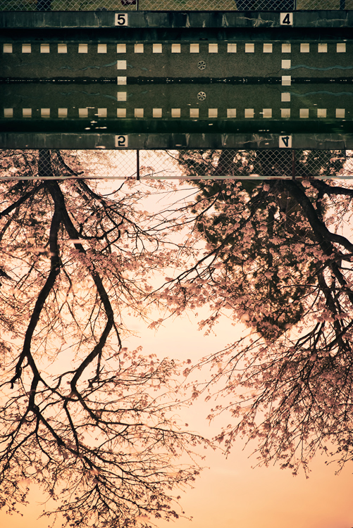 夕暮水鏡*1
