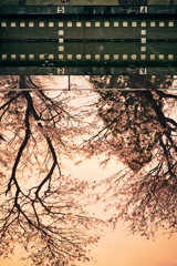 夕暮水鏡*1