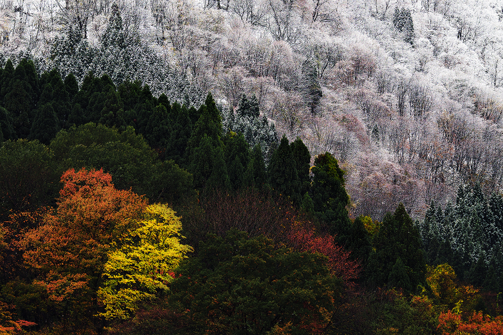 紅葉雪景Snap*5