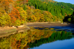 ダム湖の紅葉*1