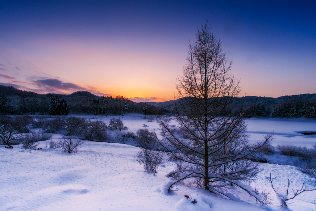 Morning comes *1