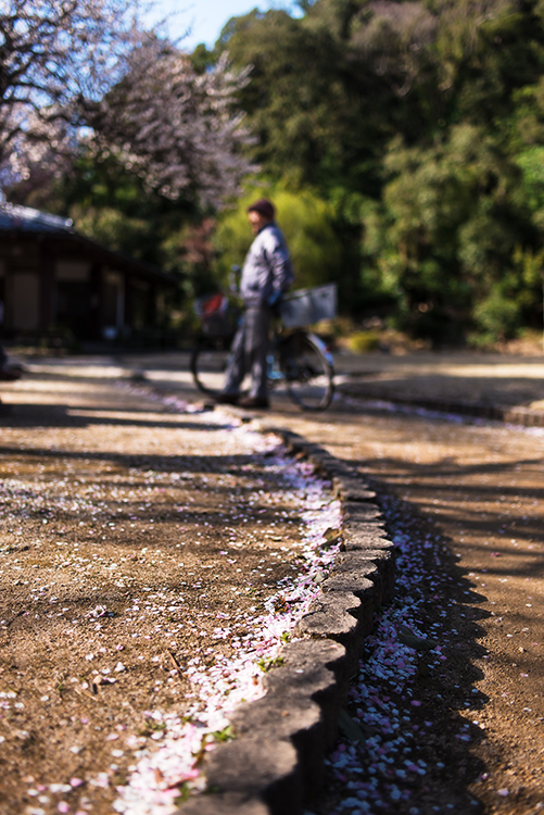 春の昼下がり