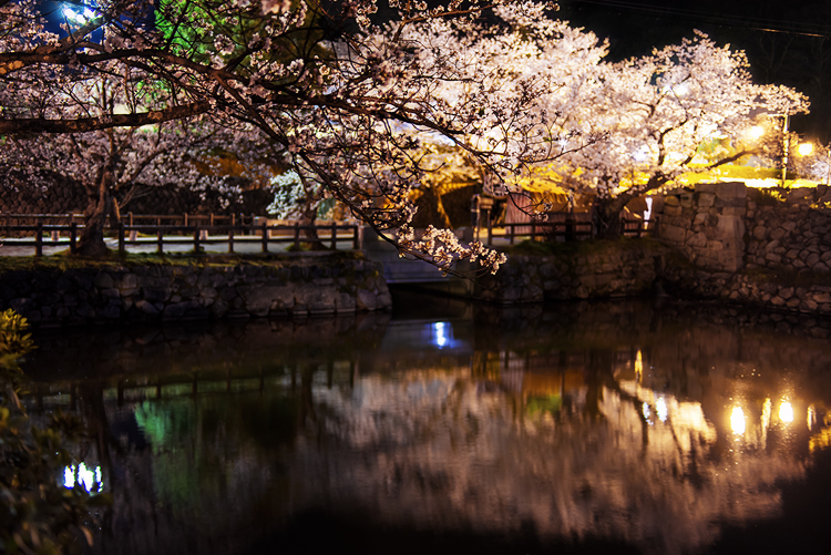 SAKURA 城跡*1