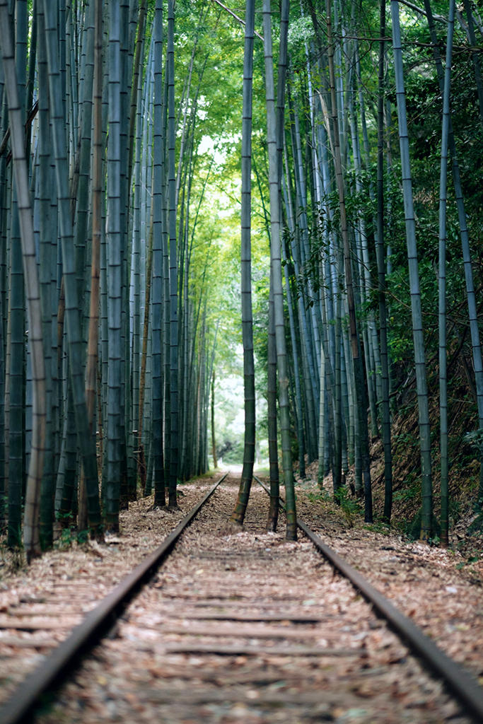 廃線跡にて*1