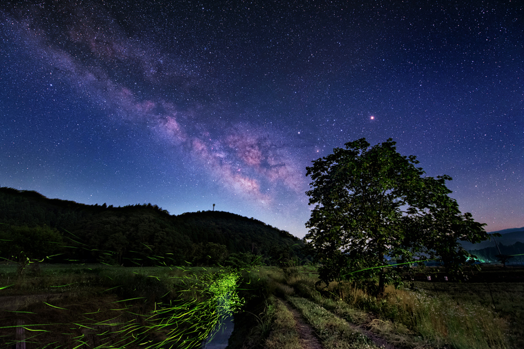 6月の星空