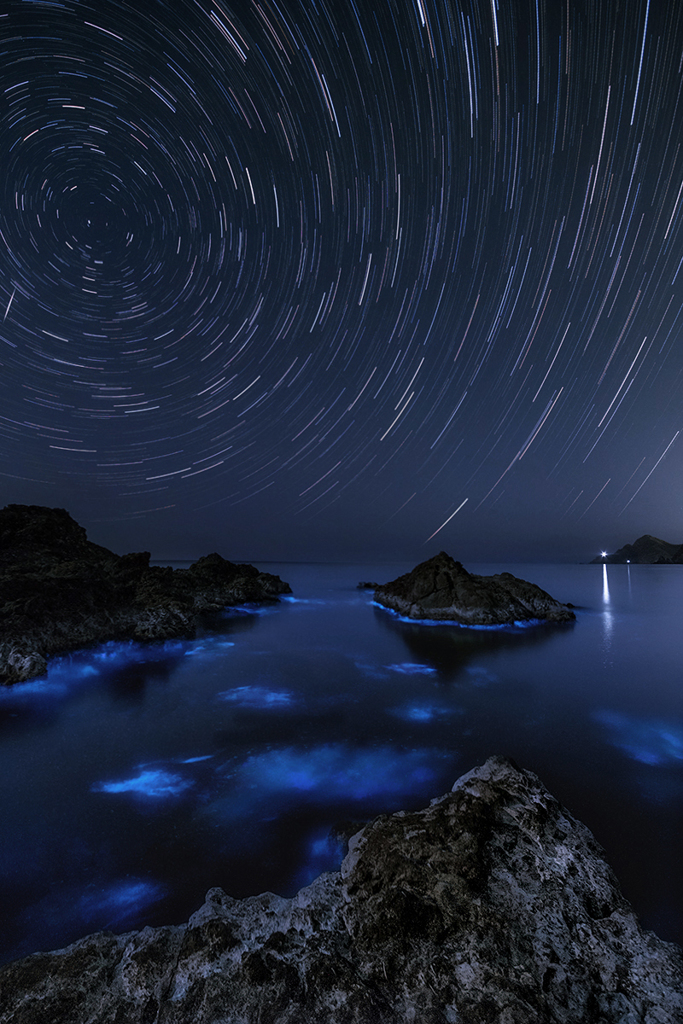 日本海の星空と夜光虫*2