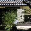 出雲大社 Snap *3