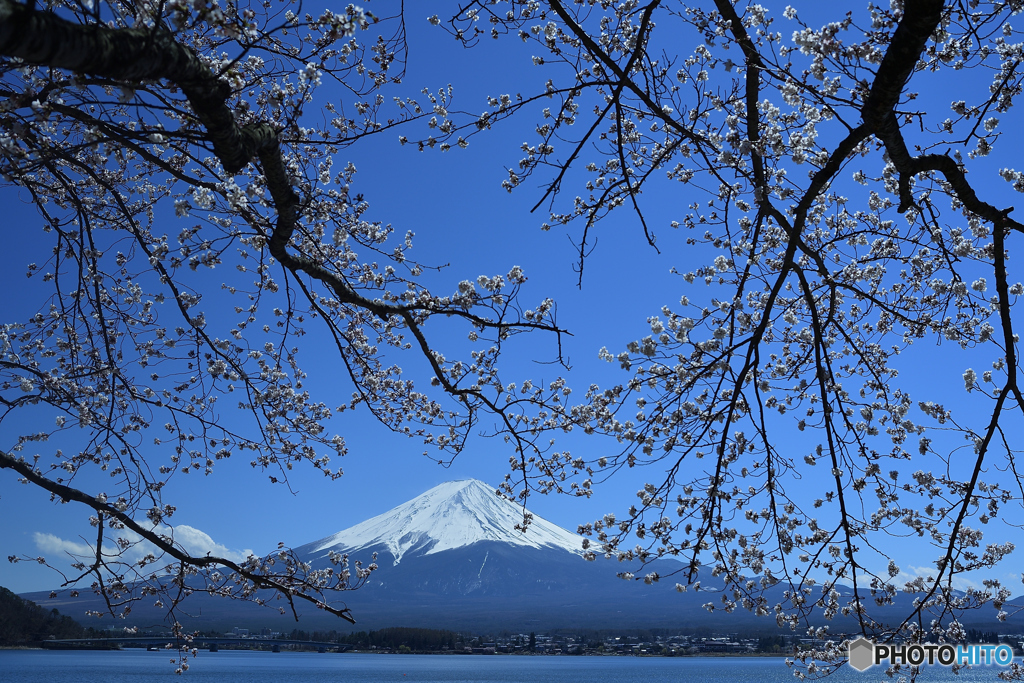 今頃はきっと（河口湖北岸Ⅱ）