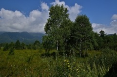 明日天気にな～れ！