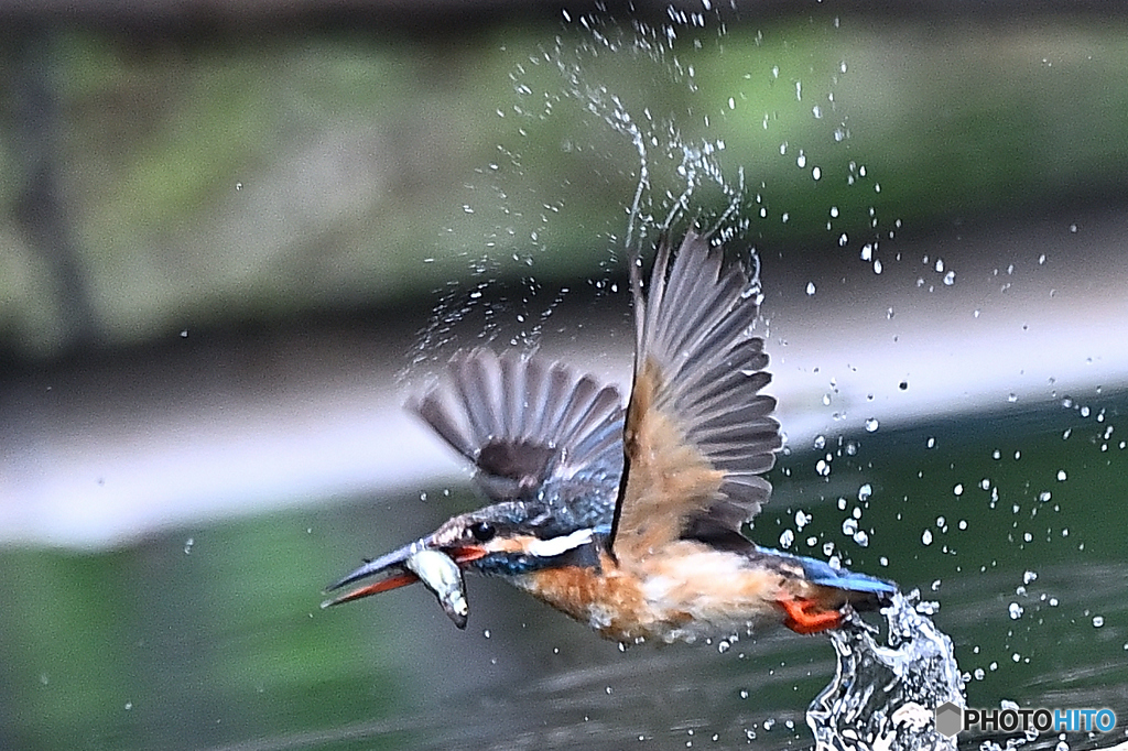 離水の飛沫