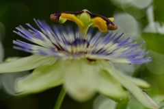 憧れのステージ！