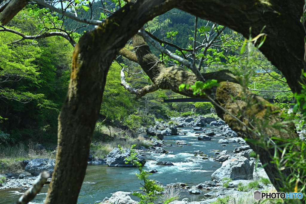 覗き見る御岳渓谷