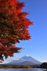 天高く紅が燃える