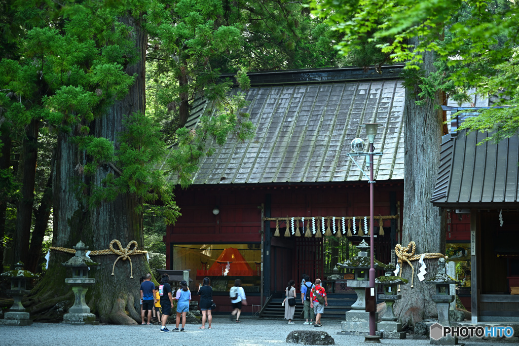 杉大木と富士の諏訪神社