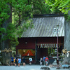 杉大木と富士の諏訪神社