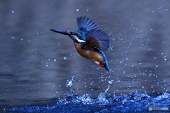 離水の飛沫Ⅱ　