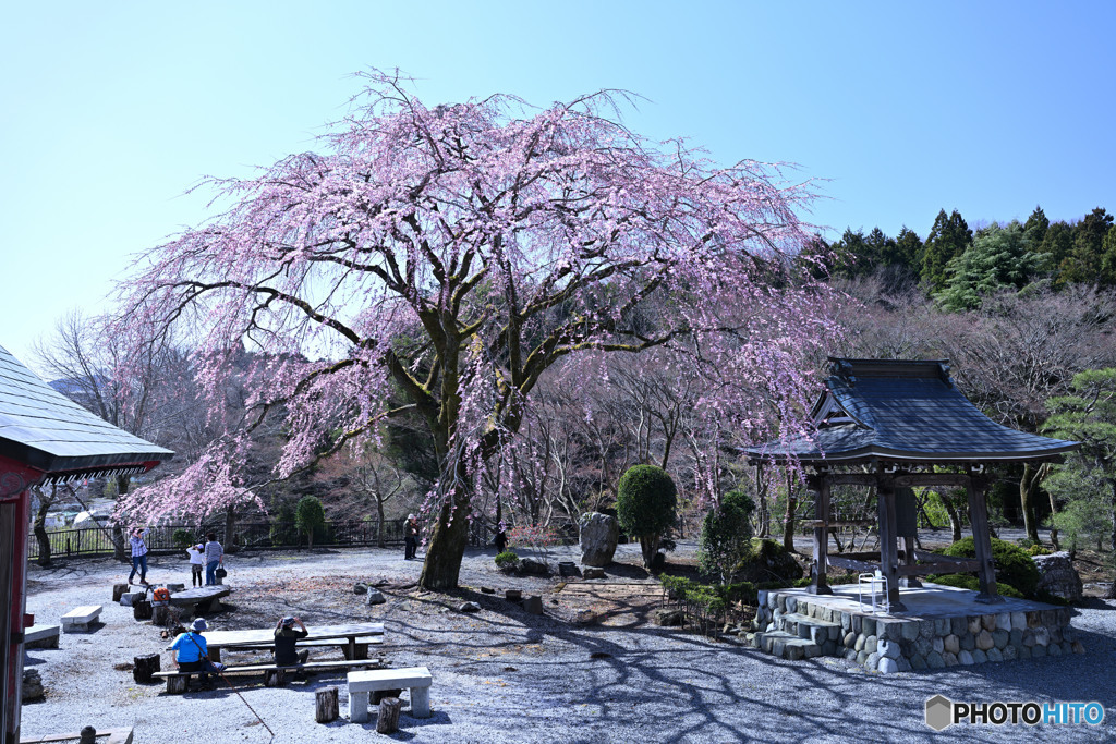 春うららな寺院