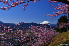 富士への流れ