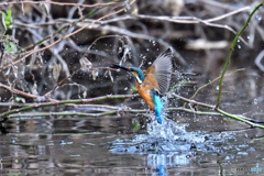 離水の飛沫
